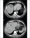 Figure 1)
