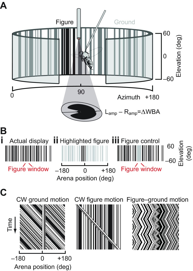 Fig. 1.