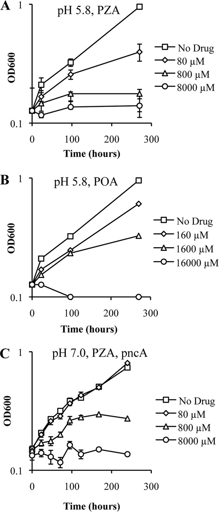 FIG 3