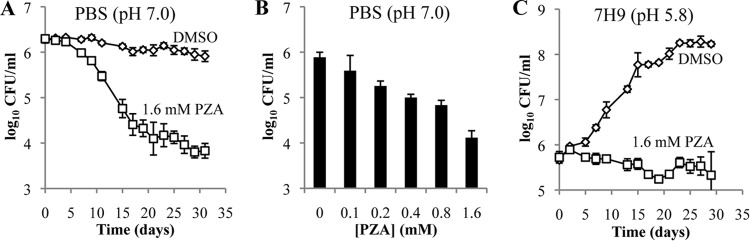 FIG 2