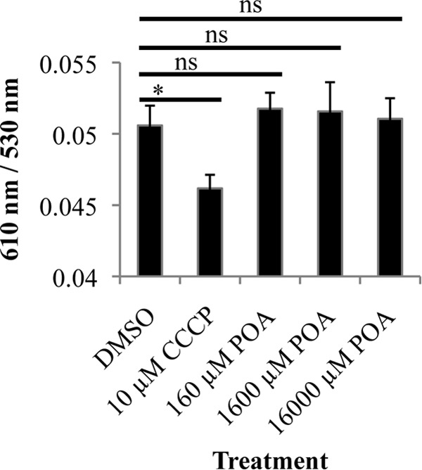 FIG 5