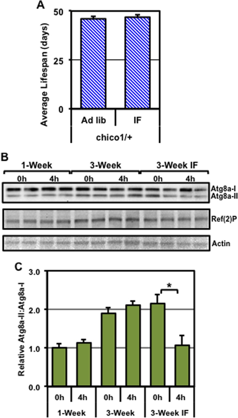 Fig 5