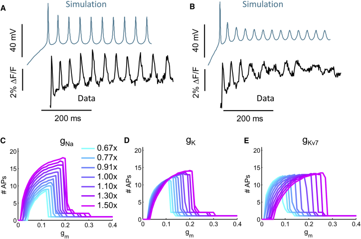 Figure 6