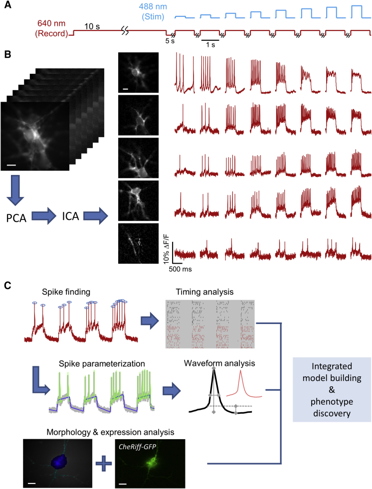 Figure 2