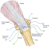 Fig 10