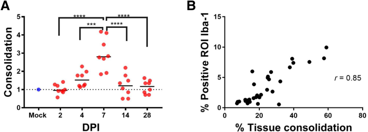 Figure 7