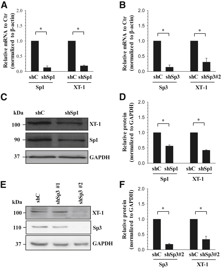 Figure 6