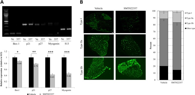 Figure 3.