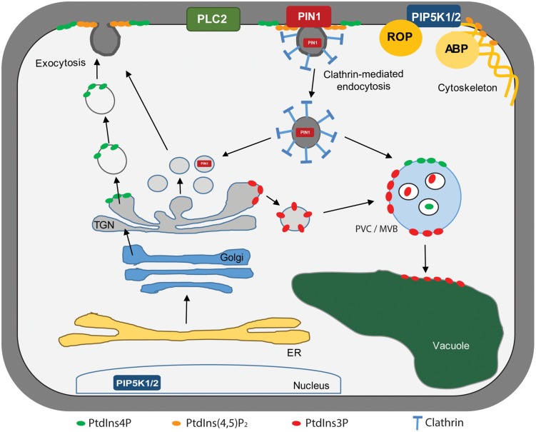 FIGURE 3