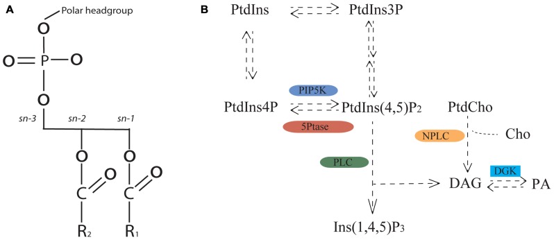 FIGURE 2