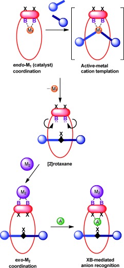 Scheme 1