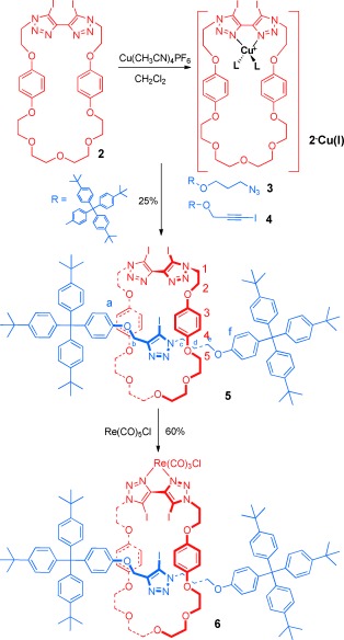 Scheme 3