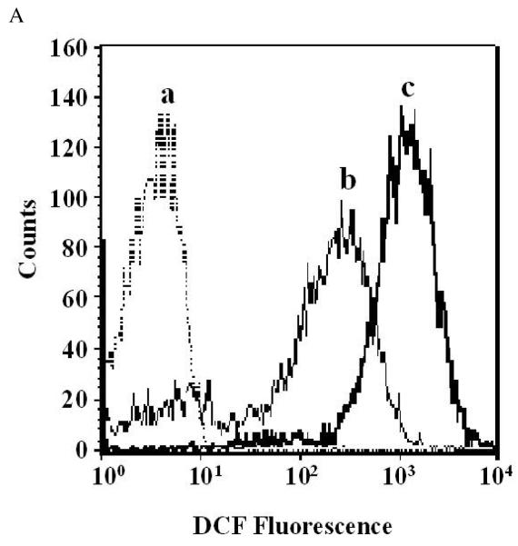 Figure 2A