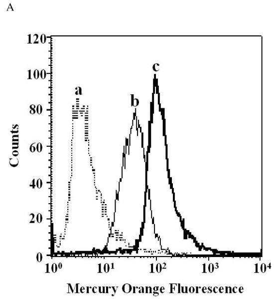 Figure 1A