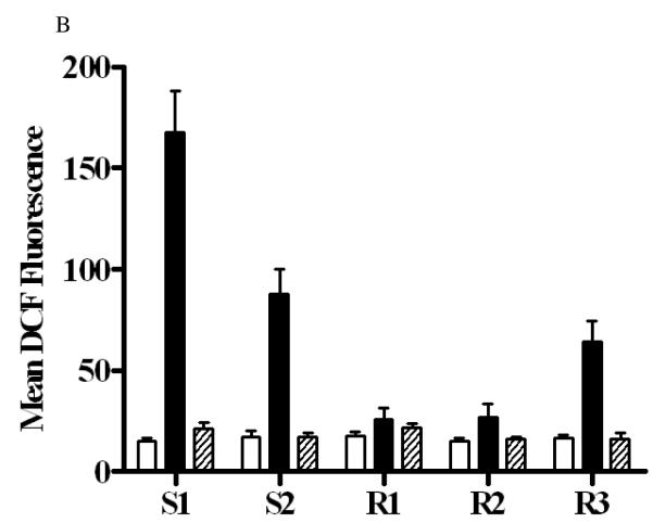 Figure 2B