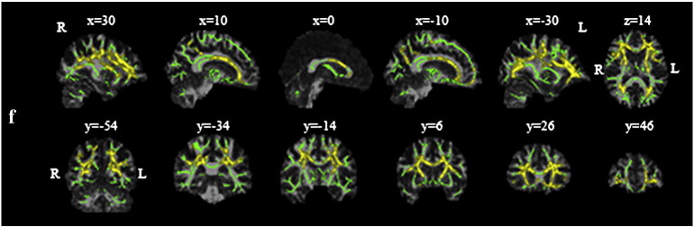 Fig. 3