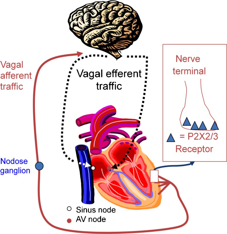 Fig. 2