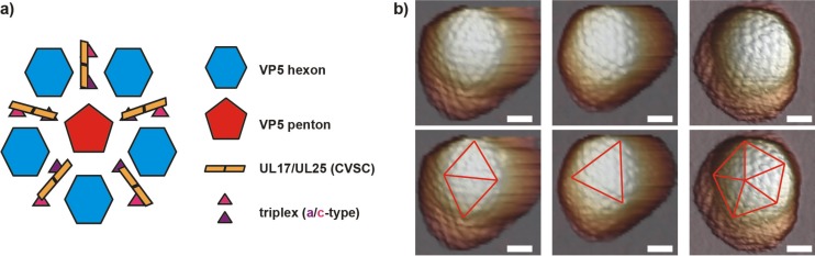 FIG 1