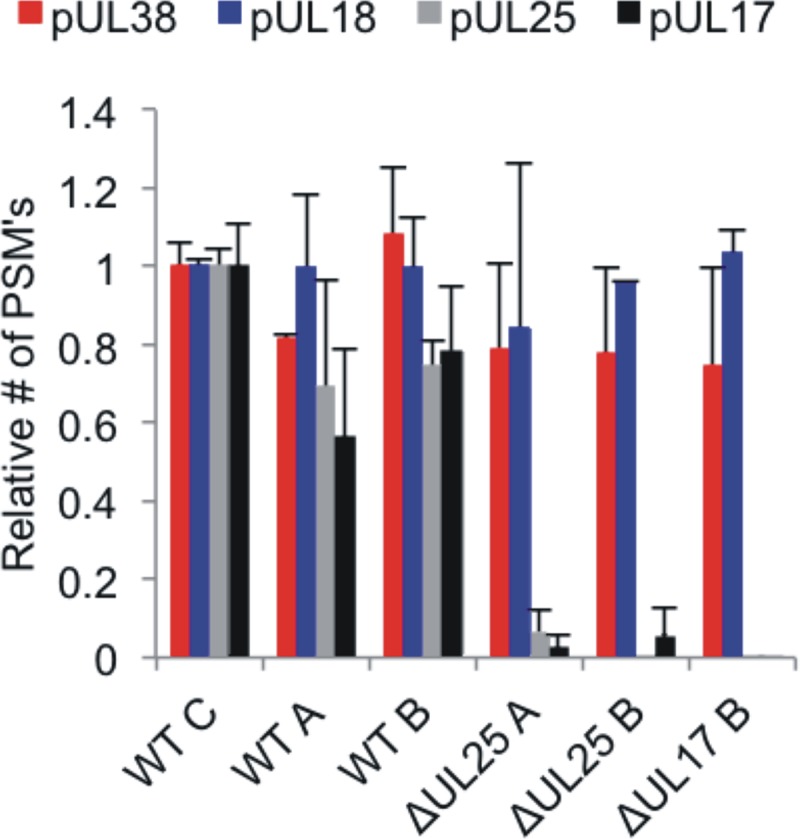 FIG 3