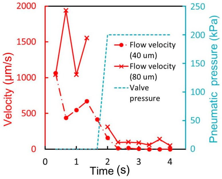 Figure 13