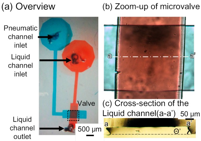 Figure 5