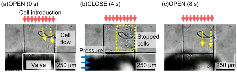 Figure 12