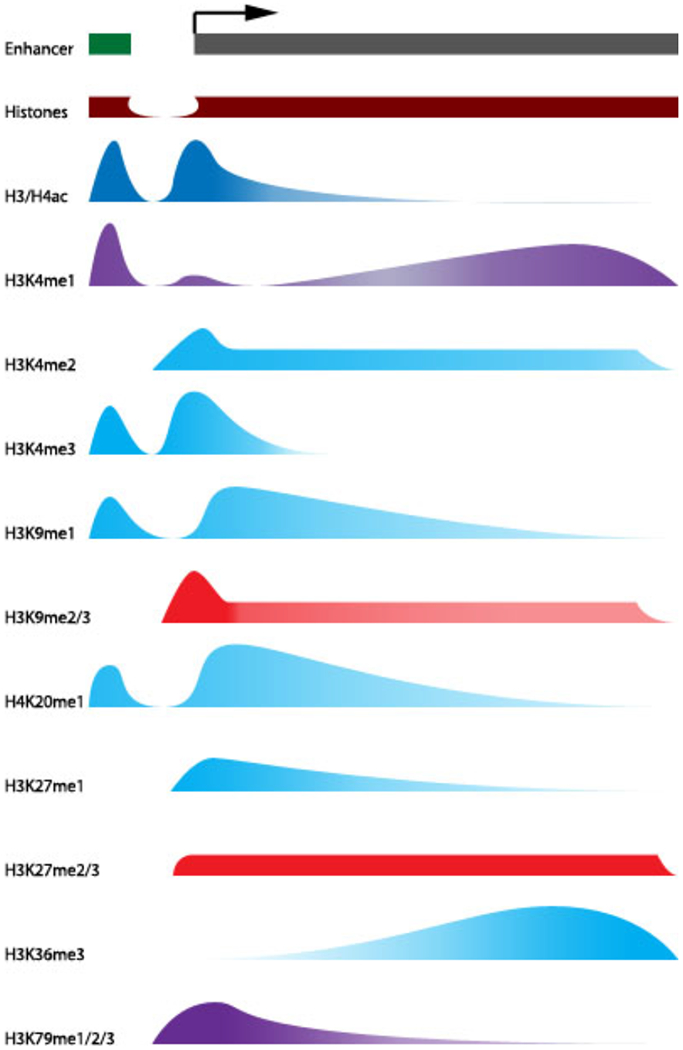 Figure 1.2