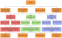 Flowchart showing the analysis of FAERS data from 2004 to 2024 for epileptic seizures. It includes divisions by total, male, and female populations, each with subcategories for drugs and reactions. Screening focuses on drug-induced osteoporosis. Categories include clinical characteristics, signal detection, stratification, and time-to-onset analysis. Terminology follows MedDRA 27.1 standards.