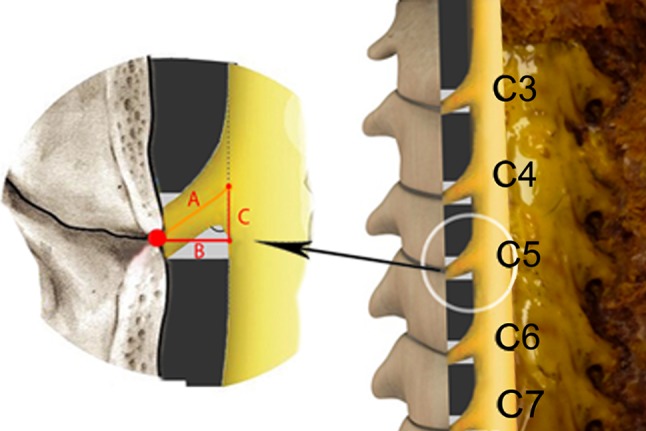 Fig. 3