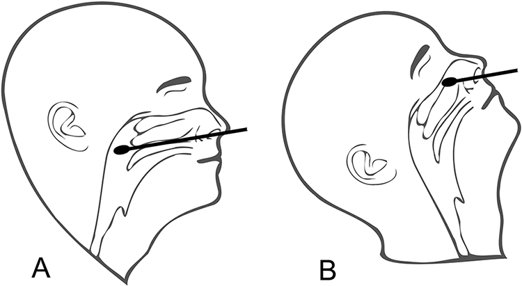 Figure 4: