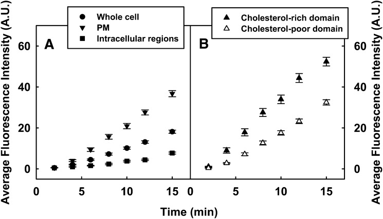 Fig. 4.