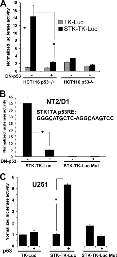 FIGURE 4.