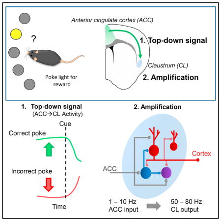 graphic file with name nihms934750u1.jpg