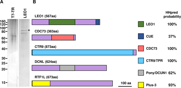 FIG 4