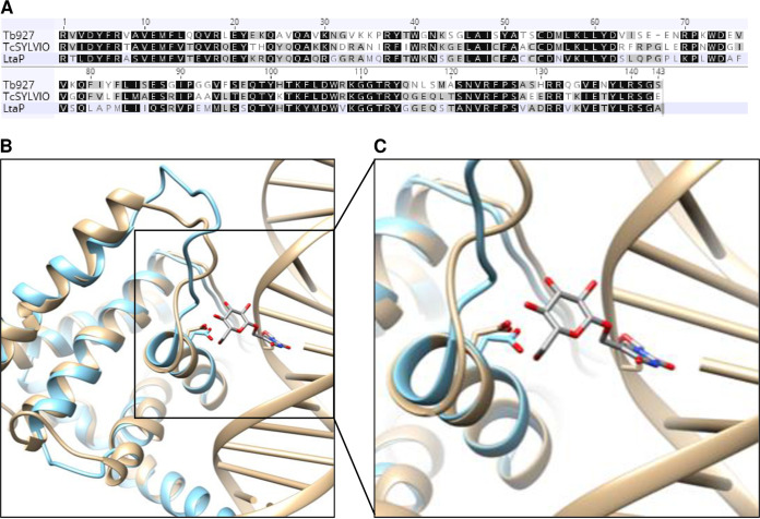 FIG 2