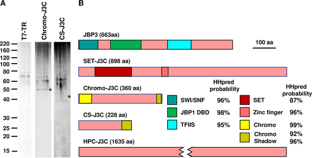 FIG 3