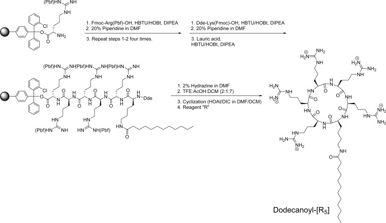 Scheme 1