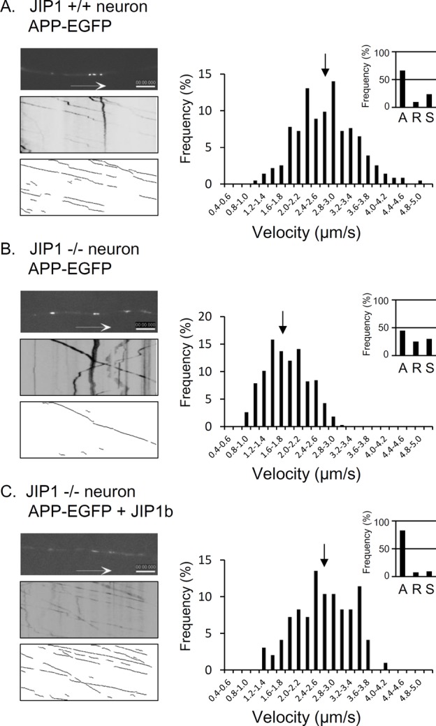 FIGURE 1: