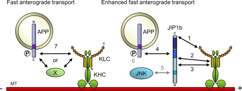 FIGURE 6: