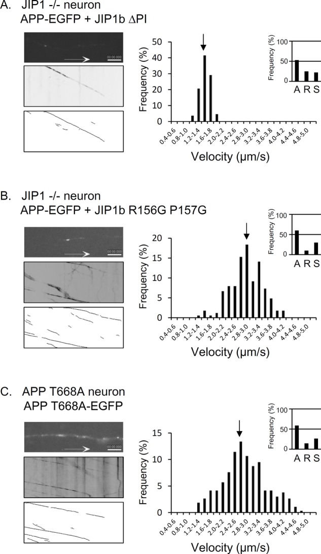 FIGURE 2: