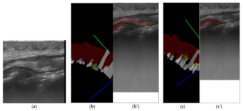 Figure 2