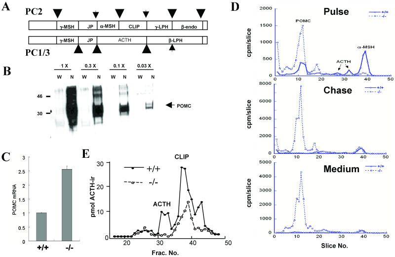 Fig 3.