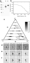 Fig 1.