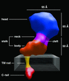 Fig 2.