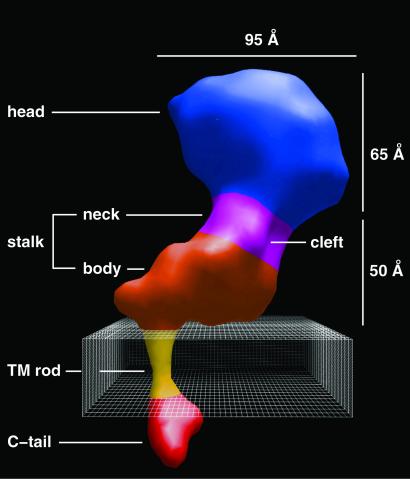 Fig 2.