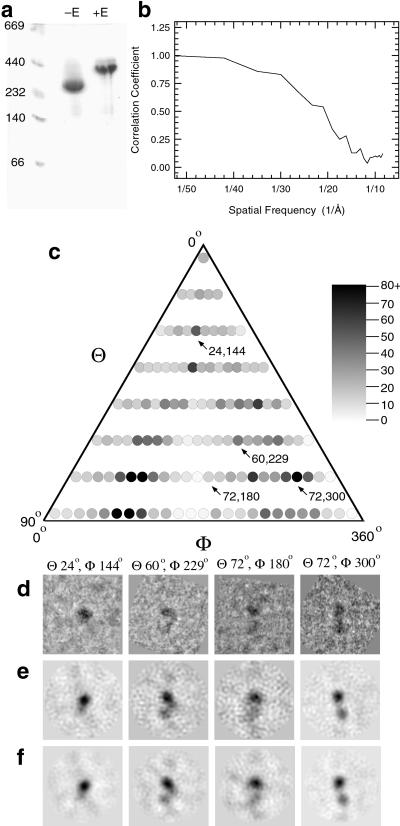 Fig 1.