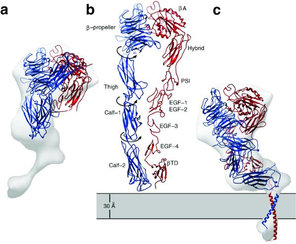 Fig 5.