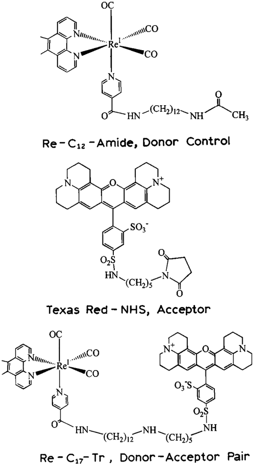 Scheme 1.