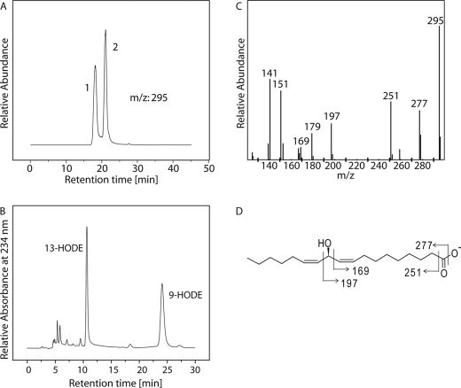 FIGURE 2.