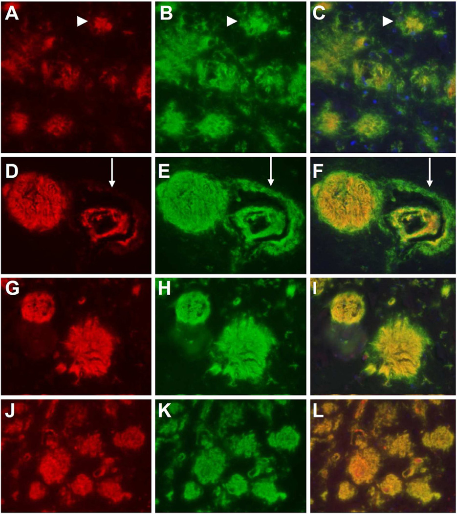 Fig. 4